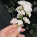 Review image - 2